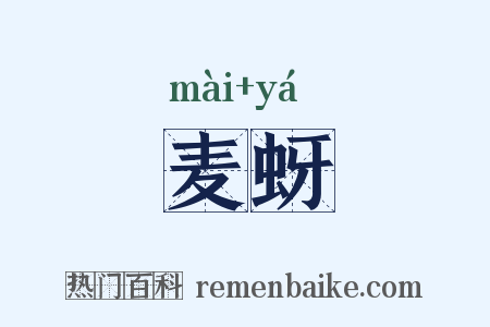 麦蚜是什么意思的图片